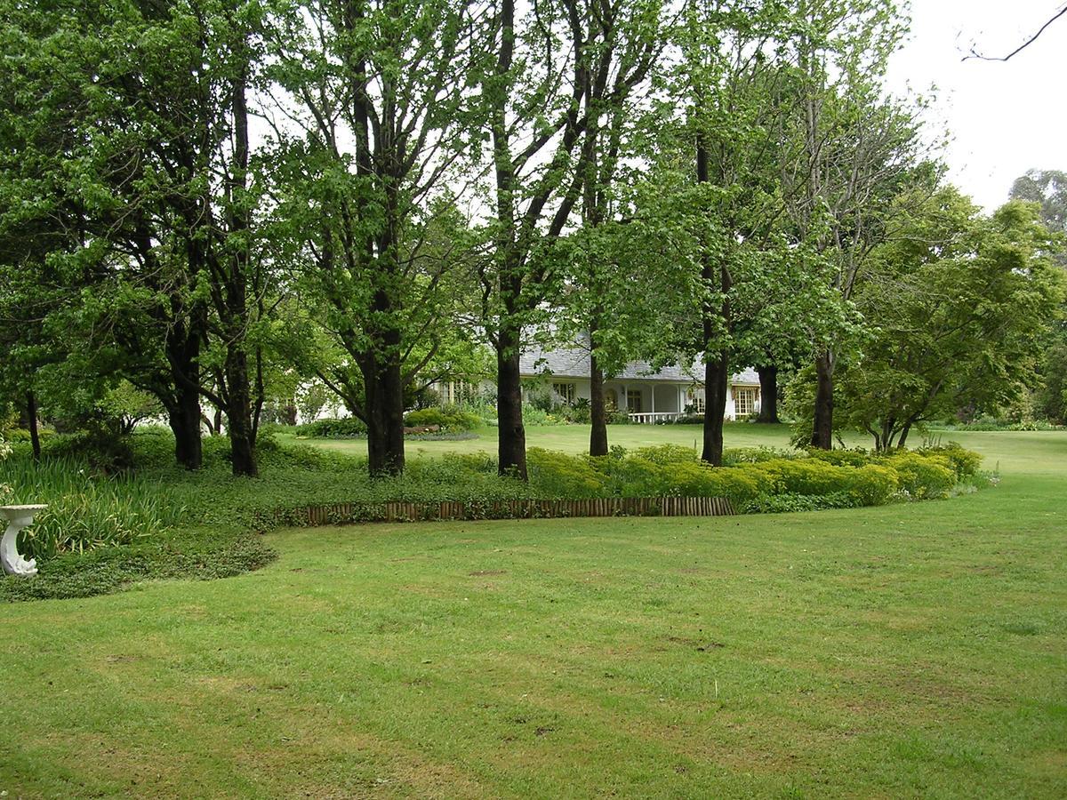 Bed and Breakfast Cedar Garden Underberg Esterno foto